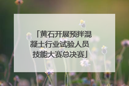 黄石开展预拌混凝土行业试验人员技能大赛总决赛