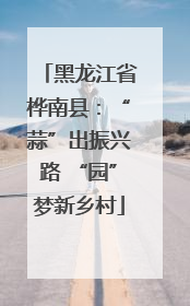 黑龙江省桦南县：“蒜”出振兴路 “园”梦新乡村