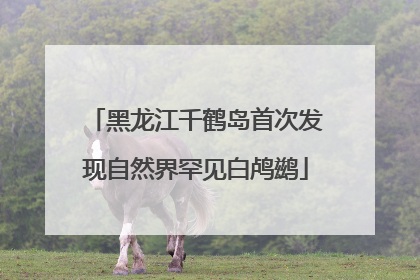 黑龙江千鹤岛首次发现自然界罕见白鸬鹚