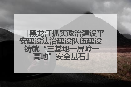 黑龙江抓实政治建设平安建设法治建设队伍建设 铸就“三基地一屏障一高地”安全基石