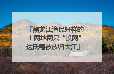 黑龙江渔民好样的！两地两只“投网”达氏鳇被放归大江