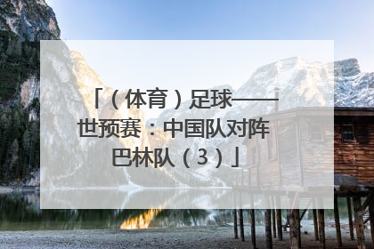 （体育）足球——世预赛：中国队对阵巴林队（3）