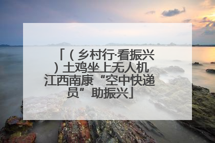 （乡村行·看振兴）土鸡坐上无人机 江西南康“空中快递员”助振兴