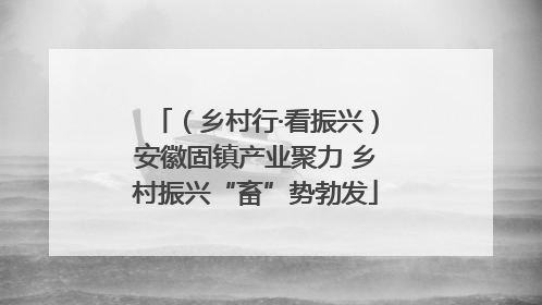 （乡村行·看振兴）安徽固镇产业聚力 乡村振兴“畜”势勃发