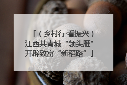 （乡村行·看振兴）江西共青城“领头雁”开辟致富“新稻路”
