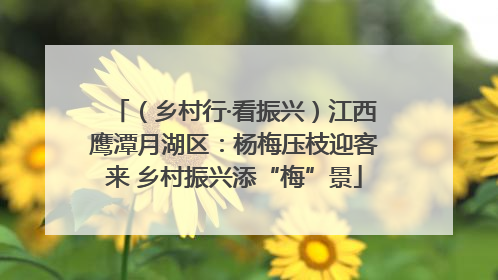 （乡村行·看振兴）江西鹰潭月湖区：杨梅压枝迎客来 乡村振兴添“梅”景