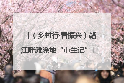 （乡村行·看振兴）赣江畔滩涂地“重生记”