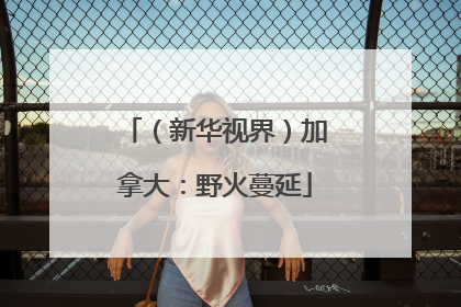 （新华视界）加拿大：野火蔓延