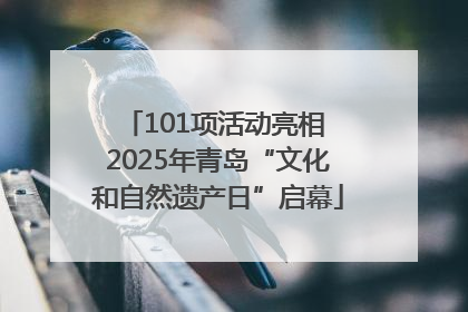 101项活动亮相 2025年青岛“文化和自然遗产日”启幕