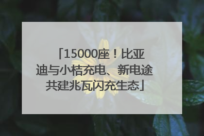 15000座！比亚迪与小桔充电、新电途共建兆瓦闪充生态