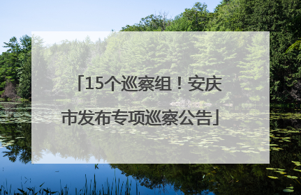 15个巡察组！安庆市发布专项巡察公告