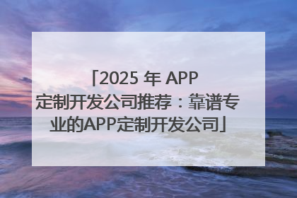 2025 年 APP 定制开发公司推荐：靠谱专业的APP定制开发公司