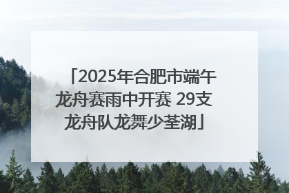 2025年合肥市端午龙舟赛雨中开赛 29支龙舟队龙舞少荃湖