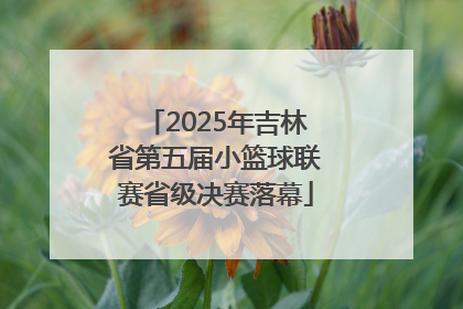 2025年吉林省第五届小篮球联赛省级决赛落幕