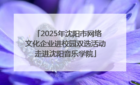 2025年沈阳市网络文化企业进校园双选活动走进沈阳音乐学院