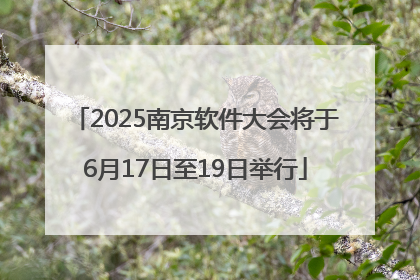 2025南京软件大会将于6月17日至19日举行
