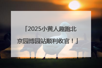2025小黄人趣跑北京园博园站顺利收官！