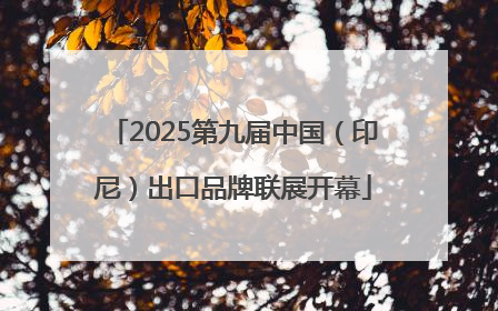 2025第九届中国（印尼）出口品牌联展开幕