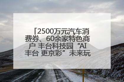 2500万元汽车消费券、60余家特色商户 丰台科技园“AI丰台 更京彩”未来玩家市集活动正式开幕