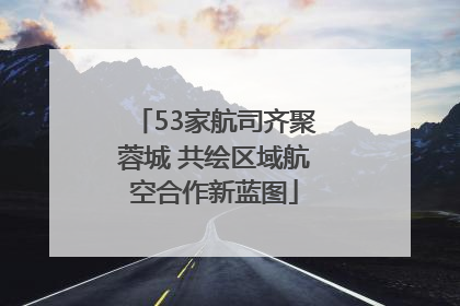 53家航司齐聚蓉城 共绘区域航空合作新蓝图
