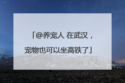 @养宠人 在武汉，宠物也可以坐高铁了