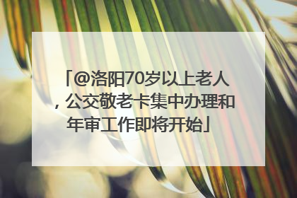 @洛阳70岁以上老人，公交敬老卡集中办理和年审工作即将开始