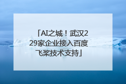 AI之城！武汉229家企业接入百度飞桨技术支持