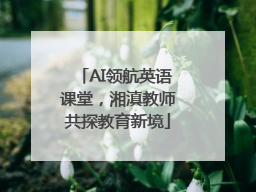 AI领航英语课堂，湘滇教师共探教育新境