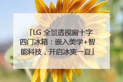 LG 全景透视窗十字四门冰箱：嵌入美学+智能科技，开启冰爽一夏