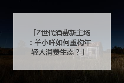Z世代消费新主场：羊小咩如何重构年轻人消费生态？